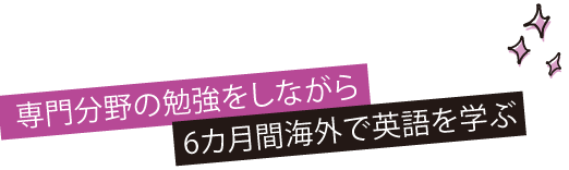 3ヶ月間の語学学校・ホームステイで英会話力を集中的に磨く
