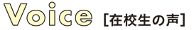 在校生の声