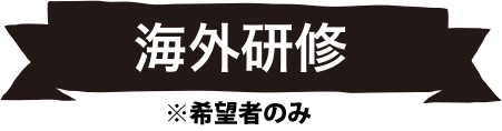 海外研修