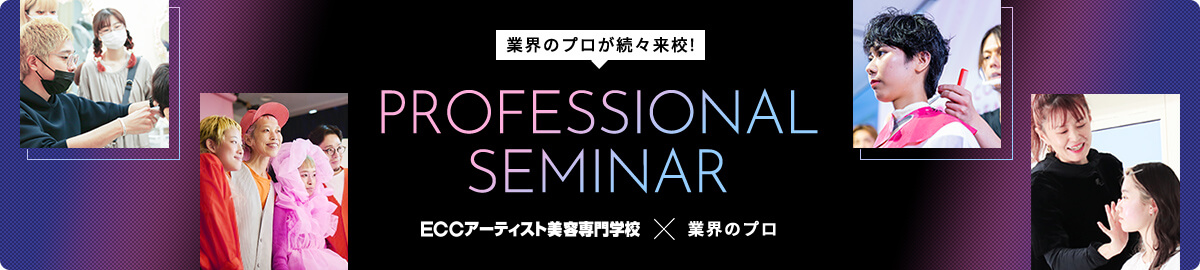 professionalseminar